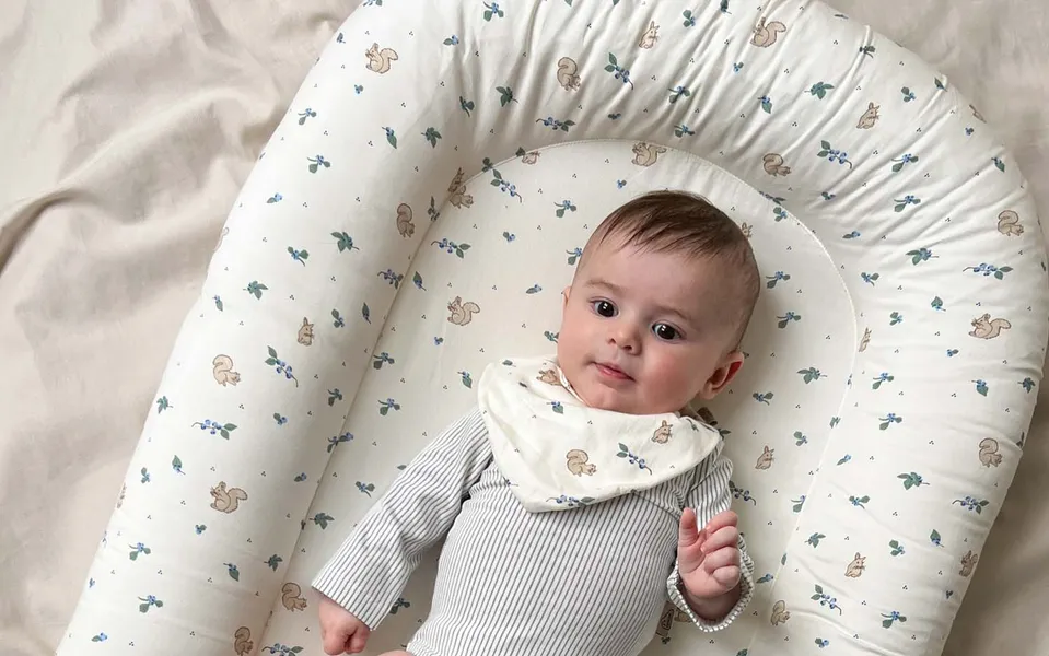 Babynestjes