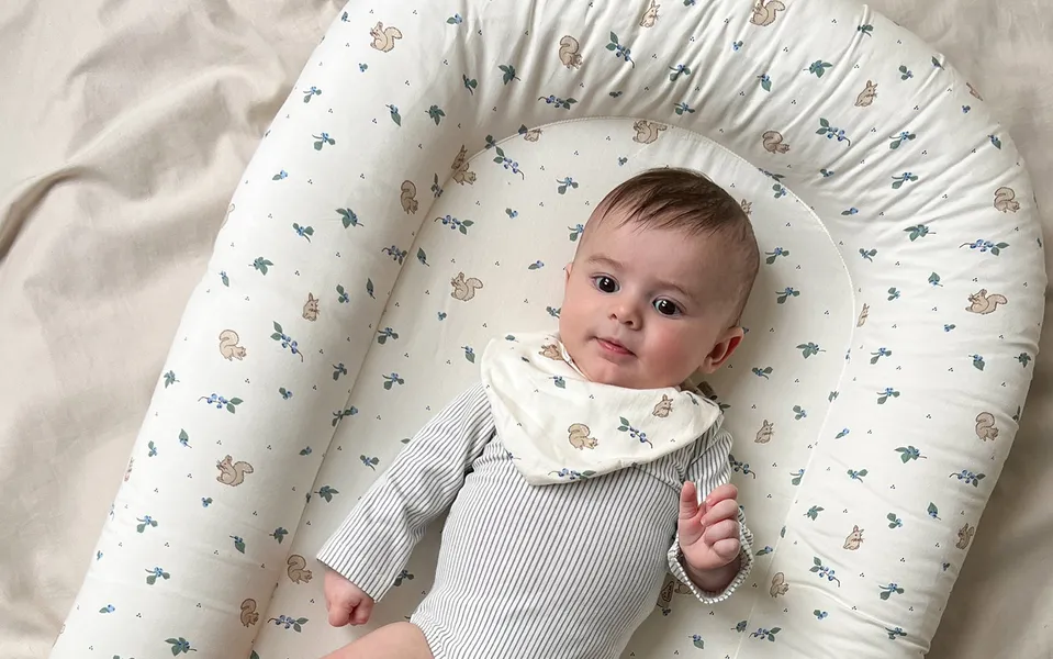 Babynestjes