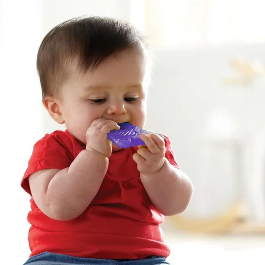 Munchkin Fun Ice Bijtring