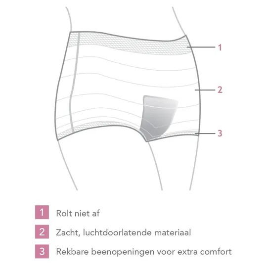 Carriwell Post Partum Netbroekjes 4 Stuks