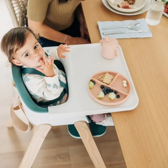 UPPAbaby Ciro Kinderstoel