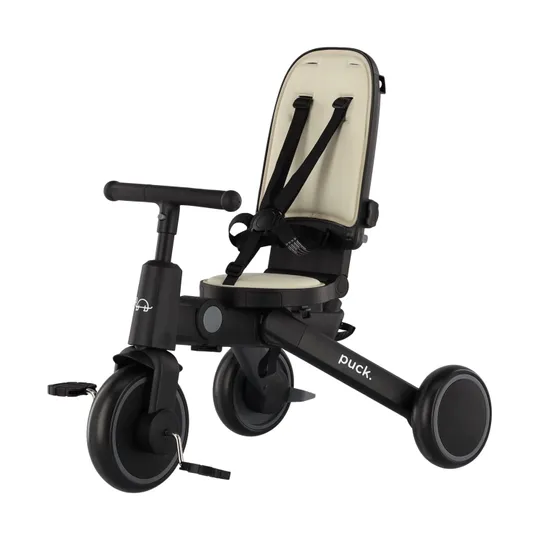 Puck Driewieler - Tricycle II