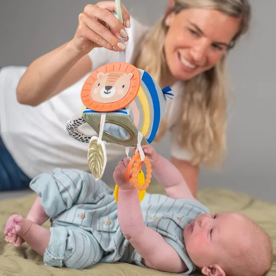 Taf Toys Savannah Activiteitenkubus