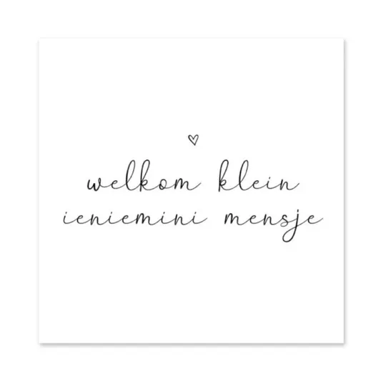 Studio Jans Minikaart - Welkom Ieniemini Mensje