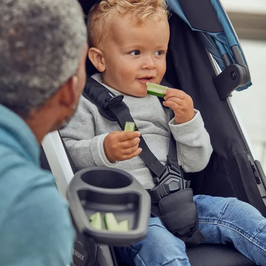 Thule Spring Snack Tray