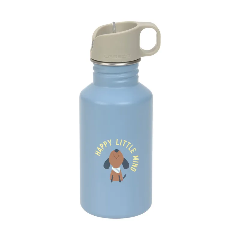 Lässig Drinkfles Stainless Steel - 500 ml