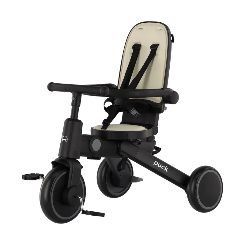Puck Driewieler - Tricycle II