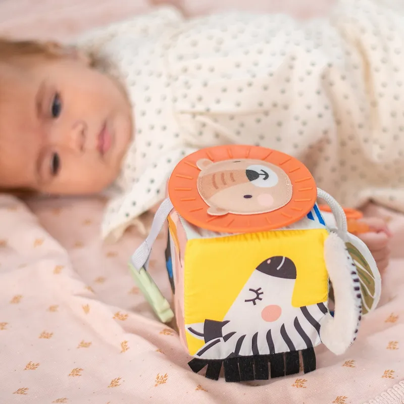Taf Toys Savannah Activiteitenkubus