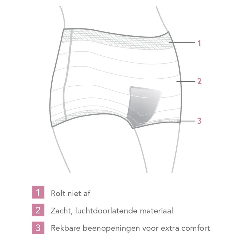 Carriwell Post Partum Netbroekjes 4 Stuks