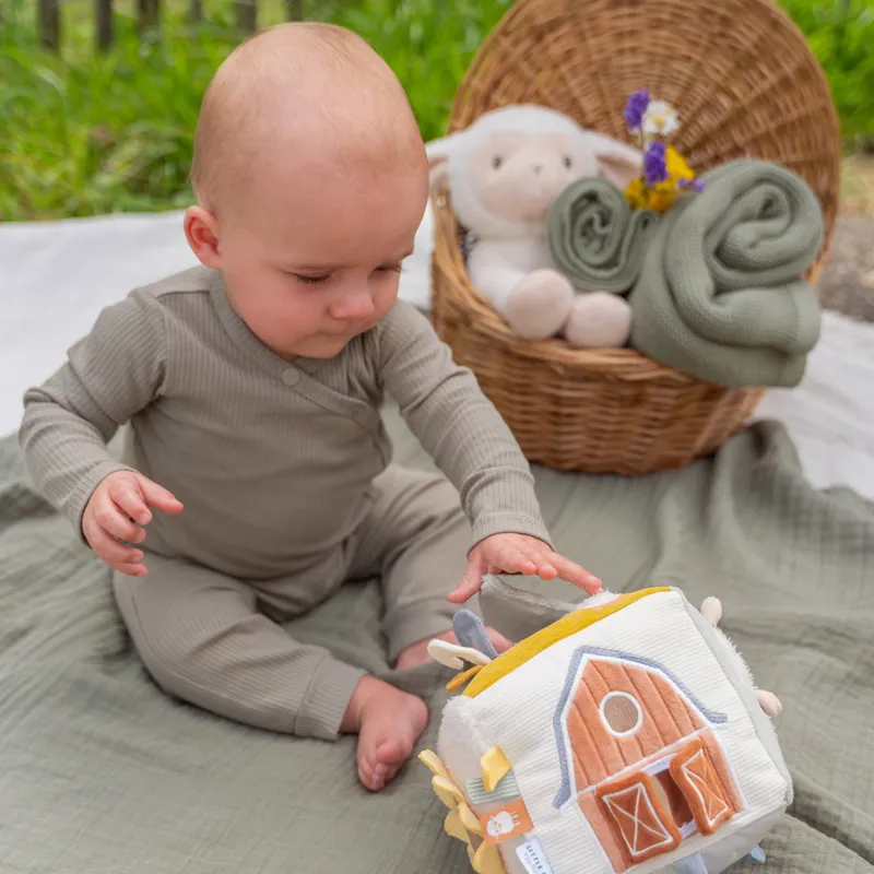 Little Dutch Little Farm Activiteitenkubus