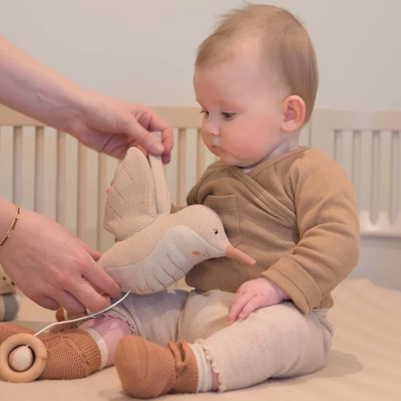 Baby Bello Haley De Kolibrie Muziek Mobiel