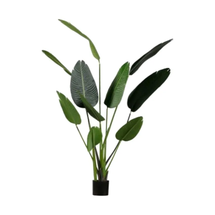 Woood Strelitzia Kunstplant Groen 164 cm