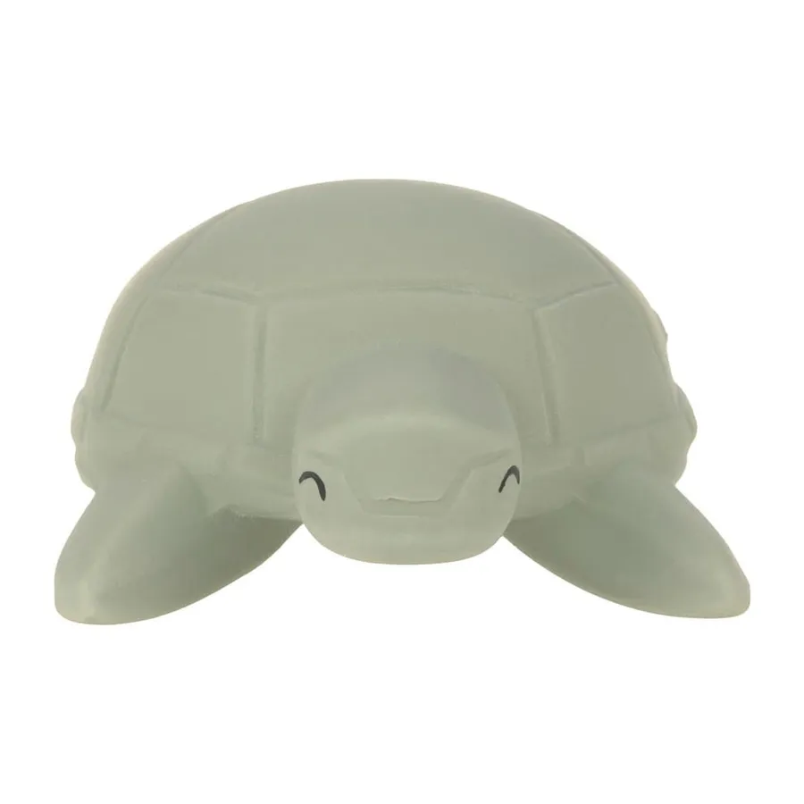 Lässig Turtle Badspeeltje