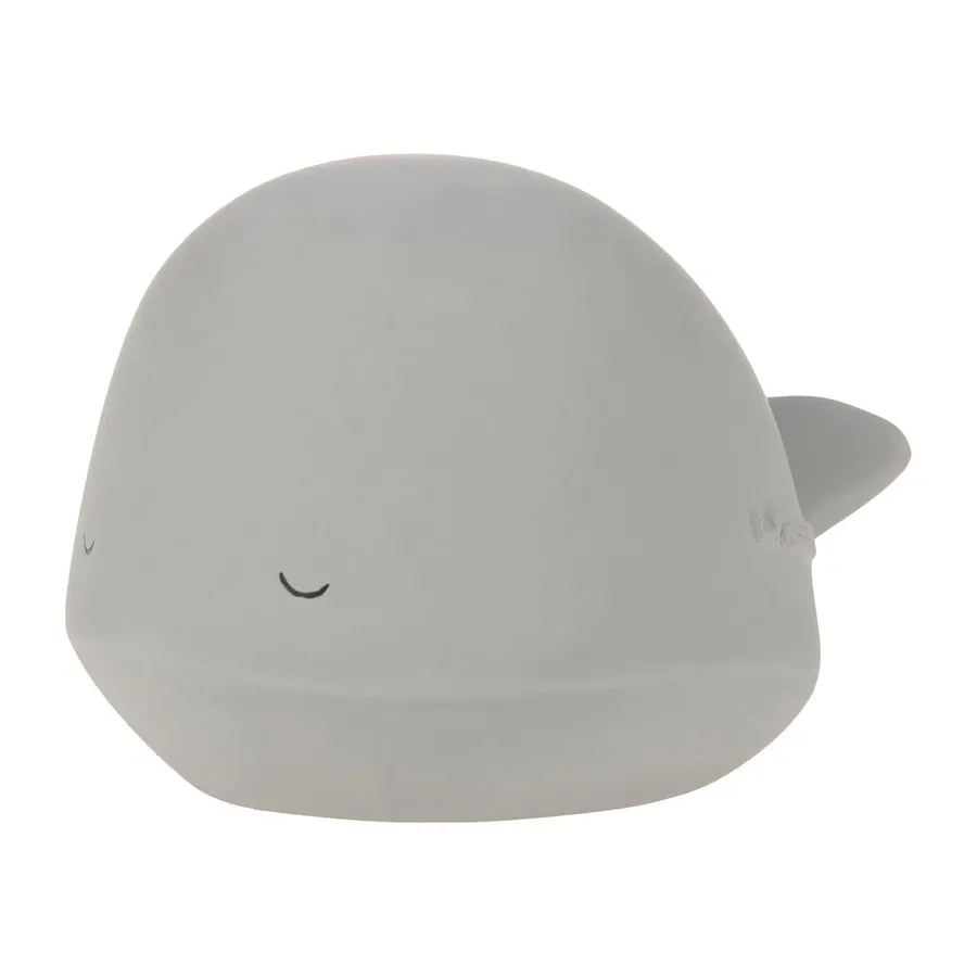 Lässig Whale Badspeeltje