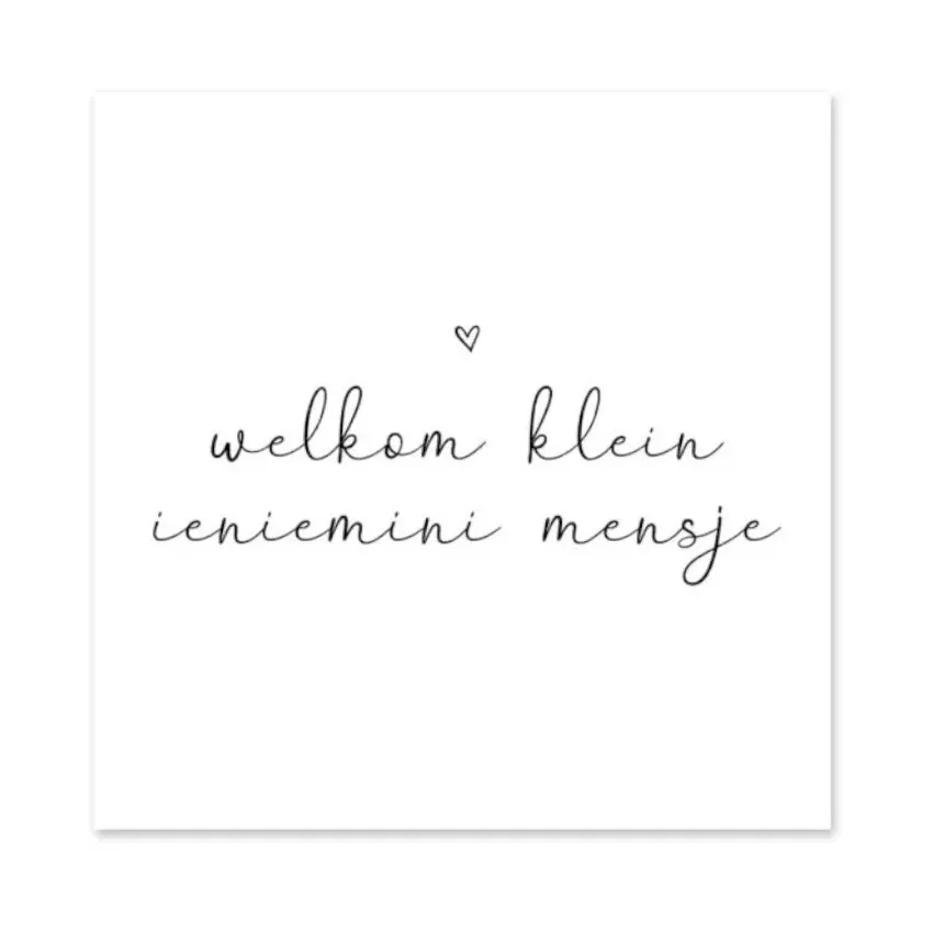 Studio Jans Minikaart - Welkom Ieniemini Mensje